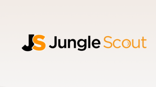 E-Commerce Success with Jungle Scout