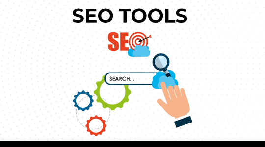 SEO Excellence with SEO Site Checkup